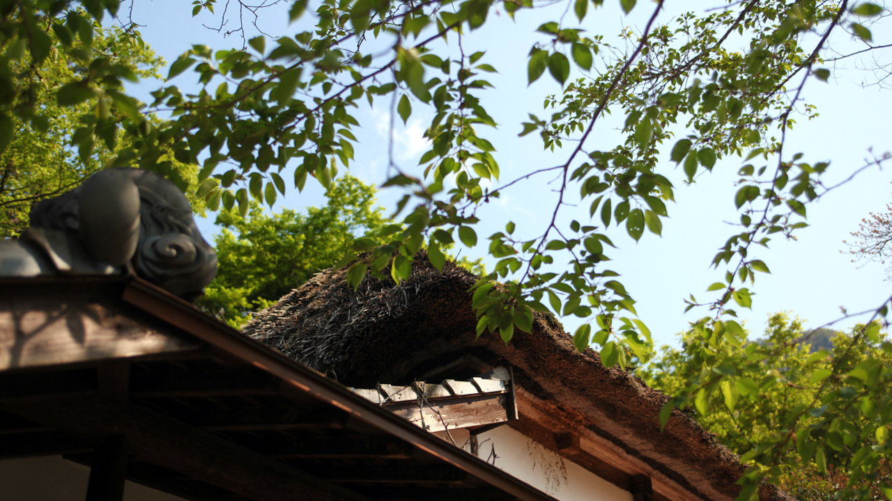 New greenery in Mifuneyama Rakuen