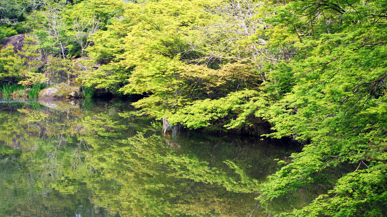 New greenery in Mifuneyama Rakuen